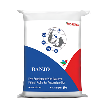 Banjo